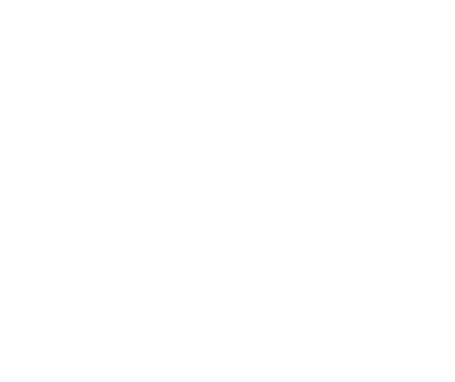 Wireframe sphere